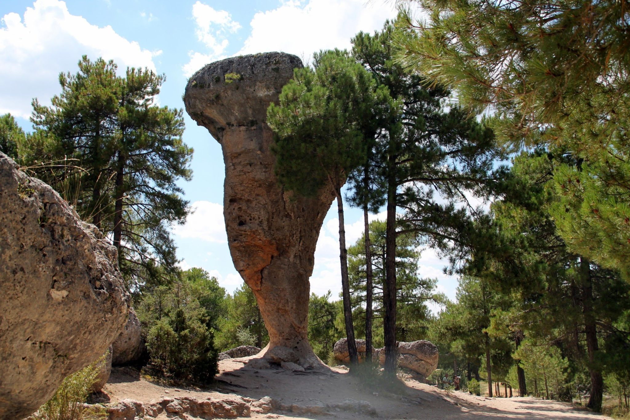 Que Ver En La Provincia De Cuenca Rios Monta as Flora Y Fauna